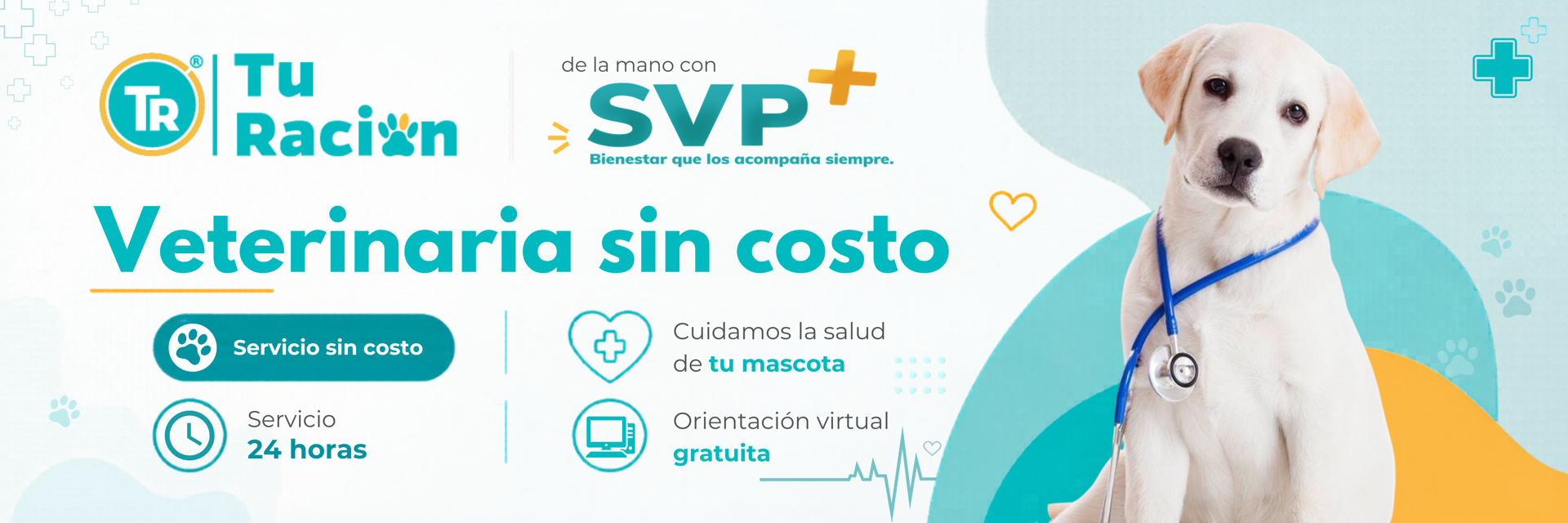 Svp+